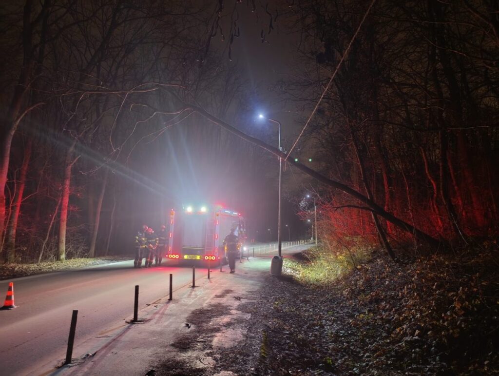 interventie-pentru-degajarea-unui-arbore.-pompierii-intervin