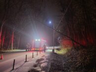 interventie-pentru-degajarea-unui-arbore.-pompierii-intervin