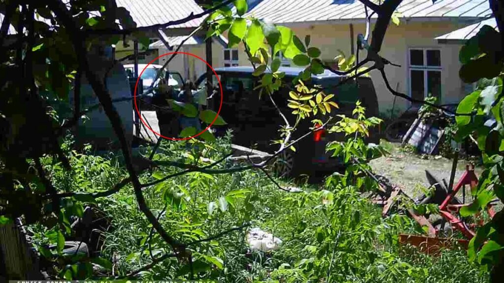 nepotismul-de-la-primaria-dobrovat-a-ajuns-la-un-alt-nivel!-ruda-viceprimarului-primeste-motorina-si-contracte-fara-licitatie,-platite-din-bugetul-local