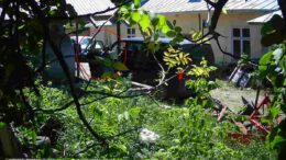 nepotismul-de-la-primaria-dobrovat-a-ajuns-la-un-alt-nivel!-ruda-viceprimarului-primeste-motorina-si-contracte-fara-licitatie,-platite-din-bugetul-local