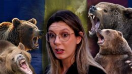 diana-buzoianu-anunta-cati-ursi-sunt,-de-fapt,-in-romania