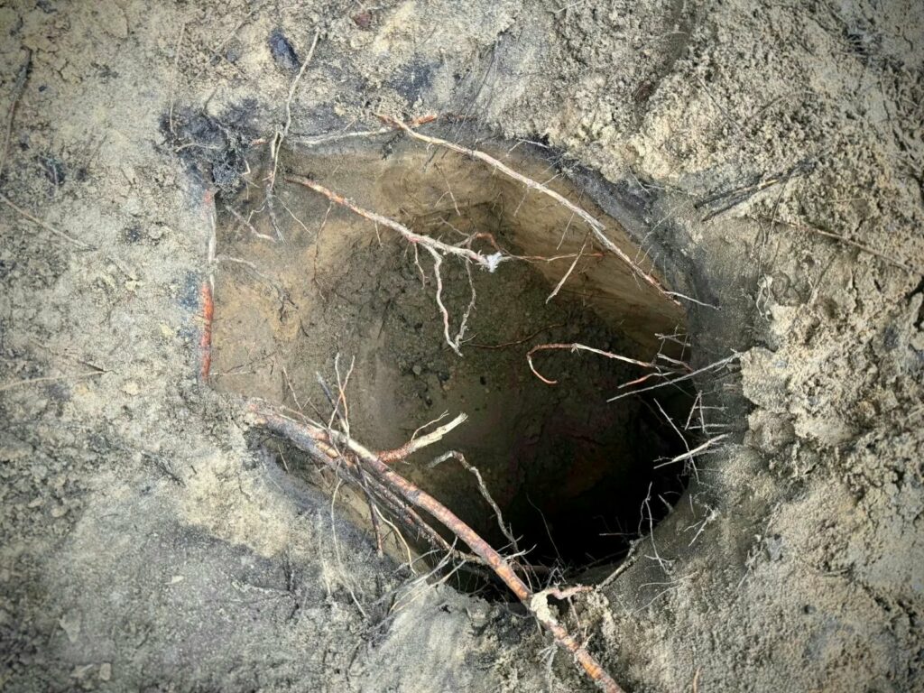 nou-tunel-secret-pentru-migranti-ilegali,-descoperit-in-polonia,-la-granita-cu-belarus