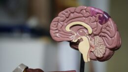 cand-ar-incepe,-de-fapt,-dementa?-cercetatorii-ofera-indicii-care-rescriu-teoriile-existente