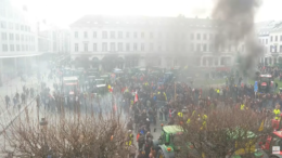 locuitorii-din-bruxelles-profita-de-proteste-pentru-a-colecta-cartofii-aruncati-de-fermieri