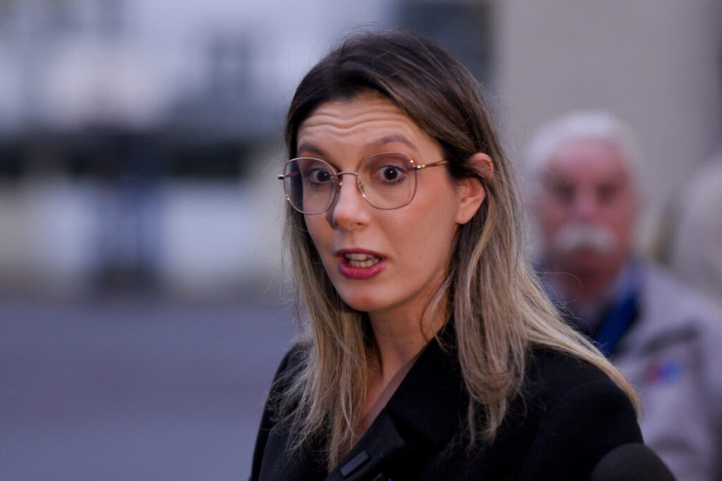 diana-buzoianu-anunta-scanarea-camioanelor-cu-gunoaie-ilegale-la-intrarea-in-romania