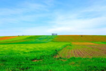 cat-platesti-pentru-un-teren-arabil-in-romania-si-ce-preturi-sunt-practicate-in-alte-state-ale-uniunii-europene,-potrivit-ins