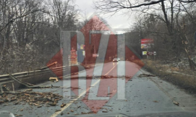 copaci-rupti-de-vant-in-bucium:-circulatia-este-ingreunata