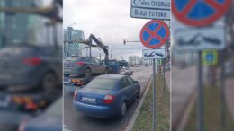 acesti-soferi-din-iasi-nu-au-scuze!-desi-strazile-si-parcarile-din-oras-sunt-libere,-ei-tot-si-au-parcat-masinile-pe-trecerile-de-pietoni-sau-pe-trotuar