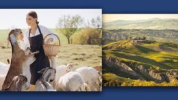 tarile-din-europa-in-care-esti-platit-sa-te-muti-daca-te-ai-saturat-de-costurile-vietii-din-romania