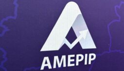 amepip-incepe-controale-fulger-la-peste-800-de-companii-de-stat
