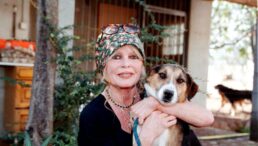 merci,-brigitte-bardot-–-legenda-cinematografiei-franceze-a-fost-inhumata-la-saint-tropez-/-mireille-mathieu:-a-fost-cea-mai-frumoasa-femeie-din-lume