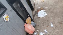 iesenii-au-aruncat-mai-putine-deseuri-alimentare-in-perioada-sarbatorilor-fata-de-anii-trecuti