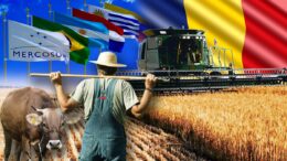 strigatul-unui-fermier-lovit-de-acordul-mercosur:-„este-ceva-politic-impotriva-noastra-si-a-producatorilor-de-hrana”/adrian-mitroi:””