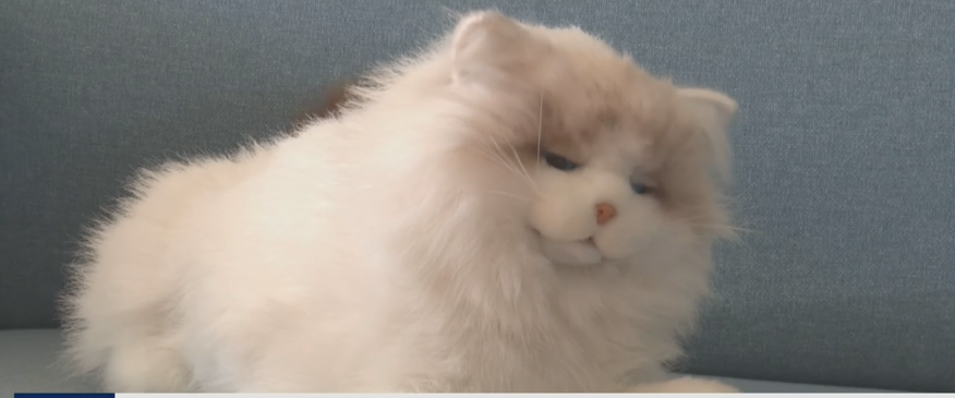 chinezii-fac-jucarii-cu-inteligenta-artificiala.-ce-stie-sa-faca-o-pisica-ai