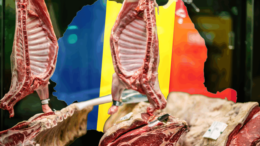 cum-s-a-schimbat-industria-produselor-din-care-din-romania-in-ultimii-17-ani.-profiturile-au-crescut-de-8-ori,-afacerile-s-au-triplat