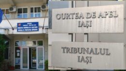 tot-mai-multe-apeluri-in-dosare-de-plasament,-pe-rolul-curtii-de-apel-iasi.-situatia-copiilor-vulnerabili,-contestata-in-instanta