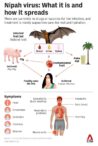 virusul-mortal-nipah,-din-india-si-bangladesh,-sperie-romania-ce-spune-dr.-florin-rosu:-gazda-naturala-a-virusului-este-liliacul-de-fructe