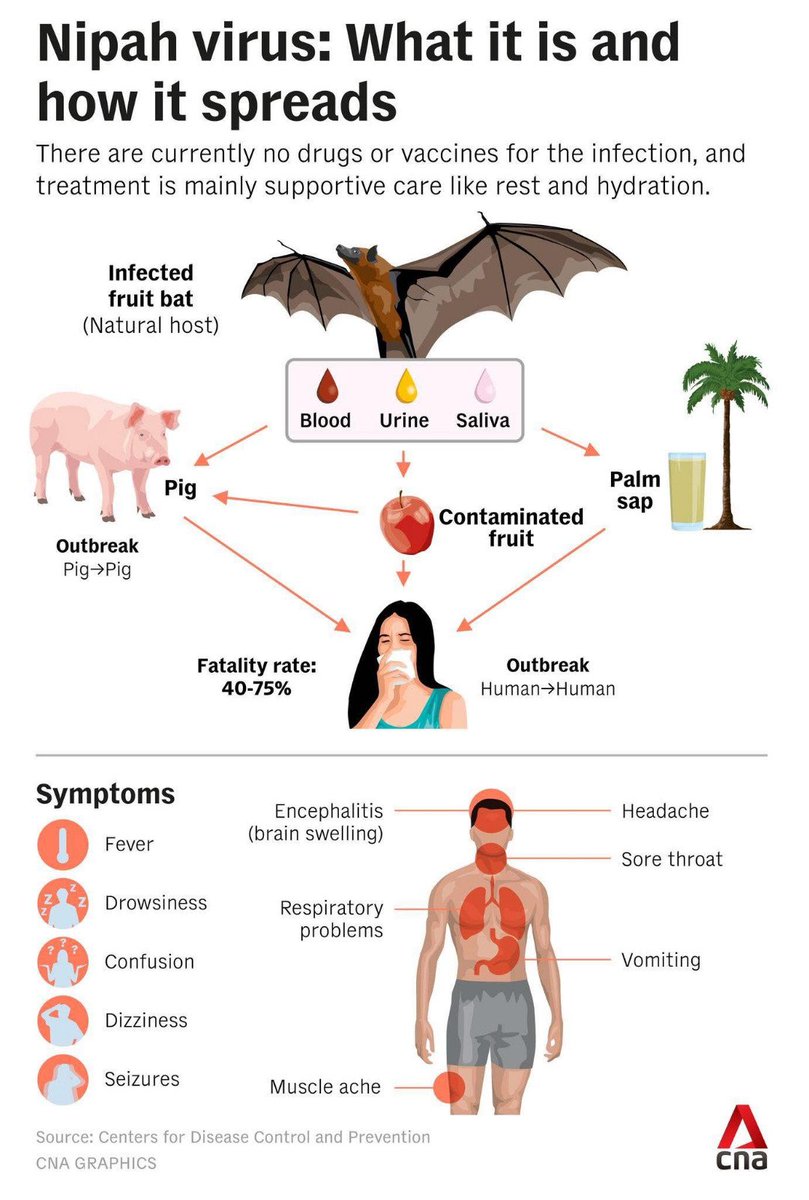virusul-mortal-nipah,-din-india-si-bangladesh,-sperie-romania-ce-spune-dr.-florin-rosu:-gazda-naturala-a-virusului-este-liliacul-de-fructe