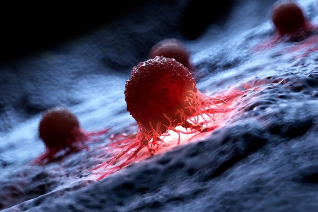 un-progres-important-in-lupta-cu-cancerul:-o-noua-terapie-care-elimina-tumorile,-aflata-in-studii-preclinice