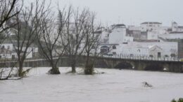 fermierii-anunta-pagube-catastrofale-dupa-ce-furtuna-marta-a-lovit-spania-si-portugalia