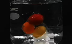 speranta-in-lupta-cu-microplasticele:-un-nou-tip-de-plastic-se-dizolva-in-apa-de-mare-in-doar-o-ora