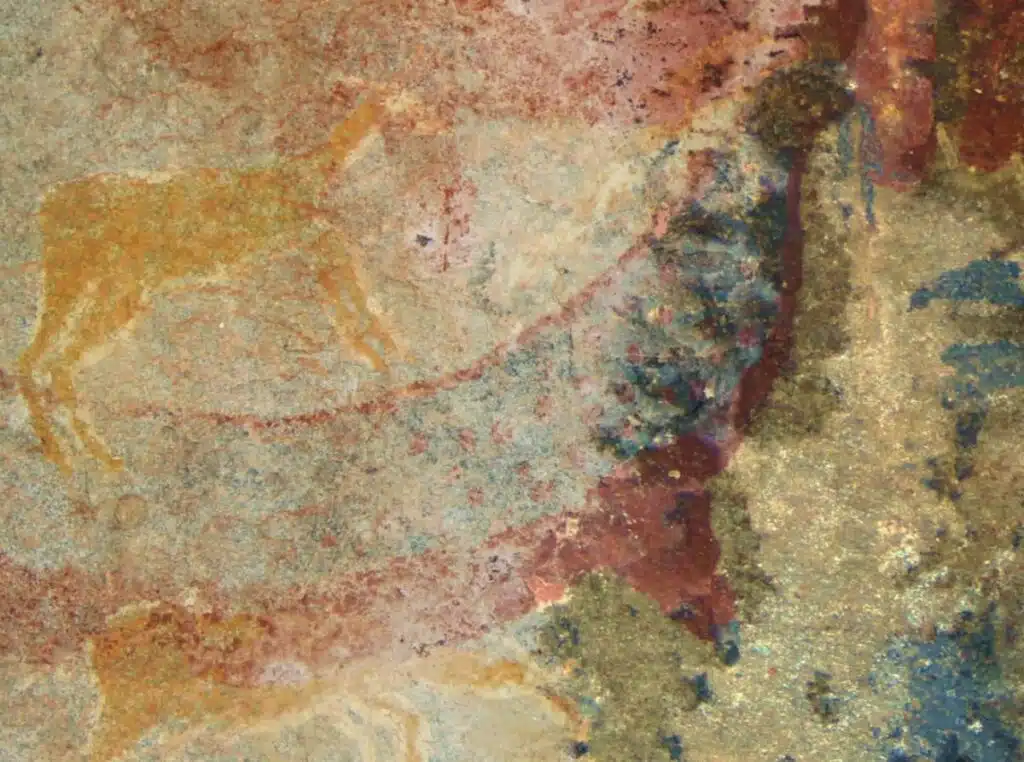 arta-rupestra-din-africa-de-sud-ar-putea-infatisa-o-creatura-disparuta-acum-250-de-milioane-de-ani