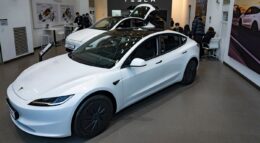ce-s-a-intamplat-cu-o-tesla-lasata-la-36-de-grade-cu-incalzirea-pornita-timp-de-12-ore