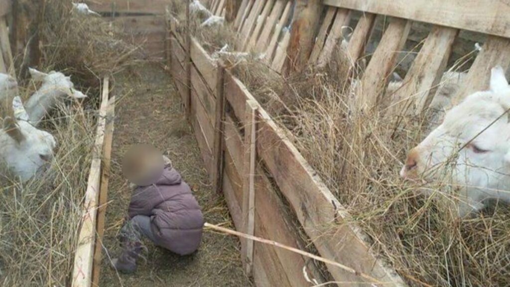 mihai-plumbu-a-fost-gasit-de-politisti-in-ieslea-animalelor.-ce-a-cautat-barbatul-acolo-si-ce-a-urmat?