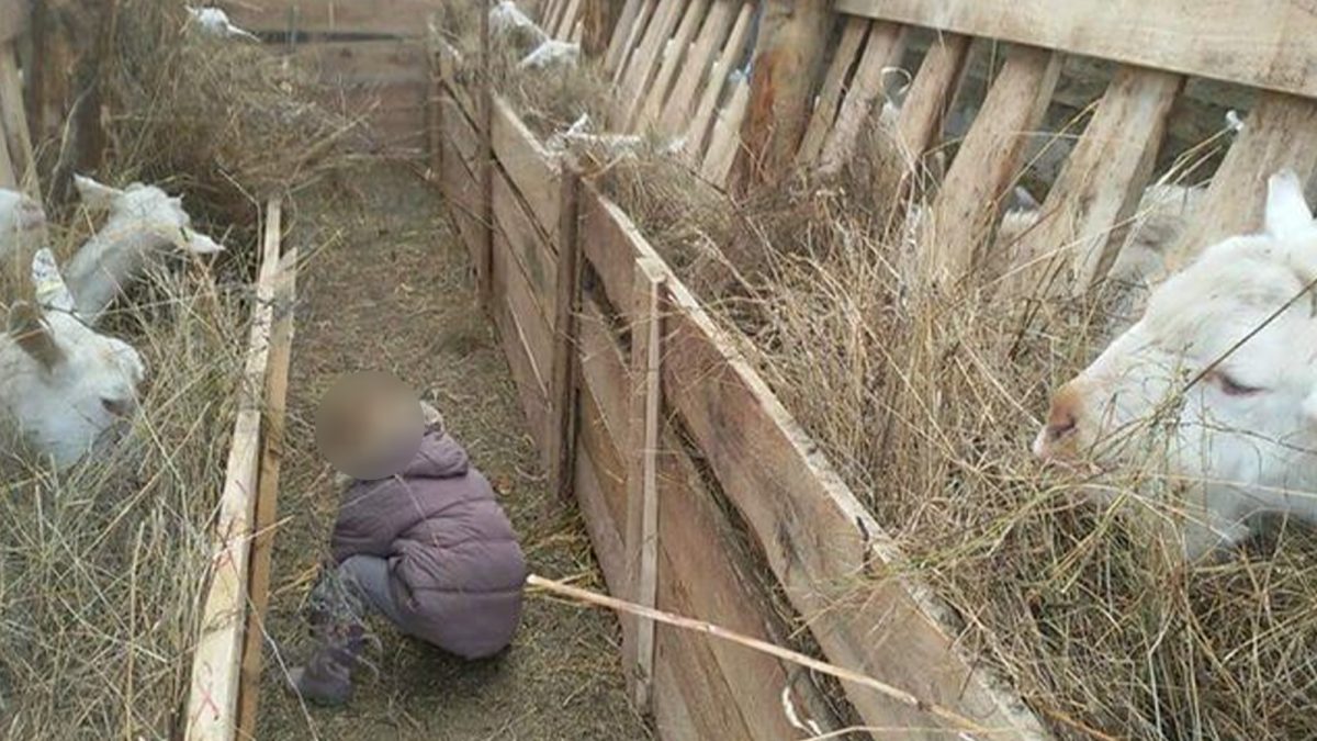 mihai-plumbu-a-fost-gasit-de-politisti-in-ieslea-animalelor.-ce-a-cautat-barbatul-acolo-si-ce-a-urmat?