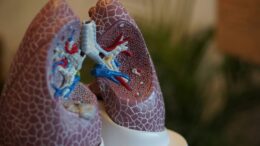 un-pas-major-in-medicina:-mecanismul-care-ajuta-plamanii-sa-se-repare-singuri,-descoperit-de-cercetatori