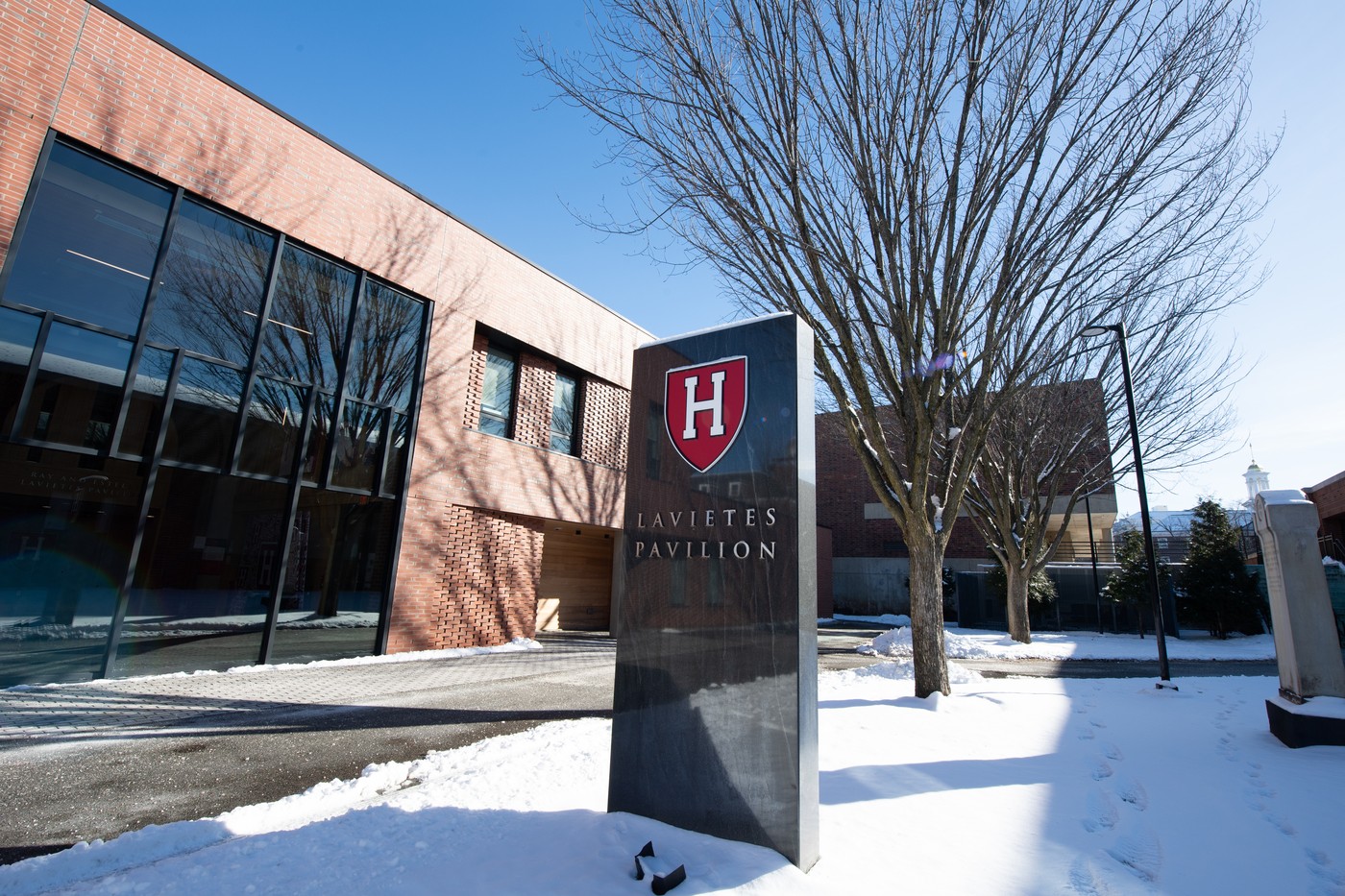 un-roman-de-49-de-ani-a-primit-o-bursa-de-studii-la-harvard