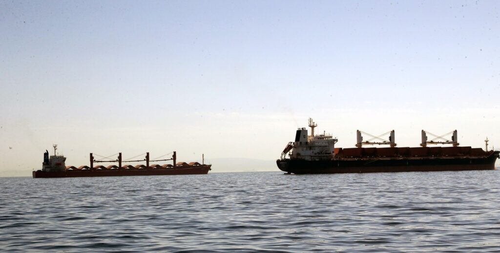 ce-vine-cu-mercosur.-un-cargo-cu-seminte-de-floarea-soarelui-din-argentina,-dat-la-biodiesel-in-bulgaria