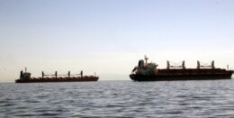 ce-vine-cu-mercosur.-un-cargo-cu-seminte-de-floarea-soarelui-din-argentina,-dat-la-biodiesel-in-bulgaria