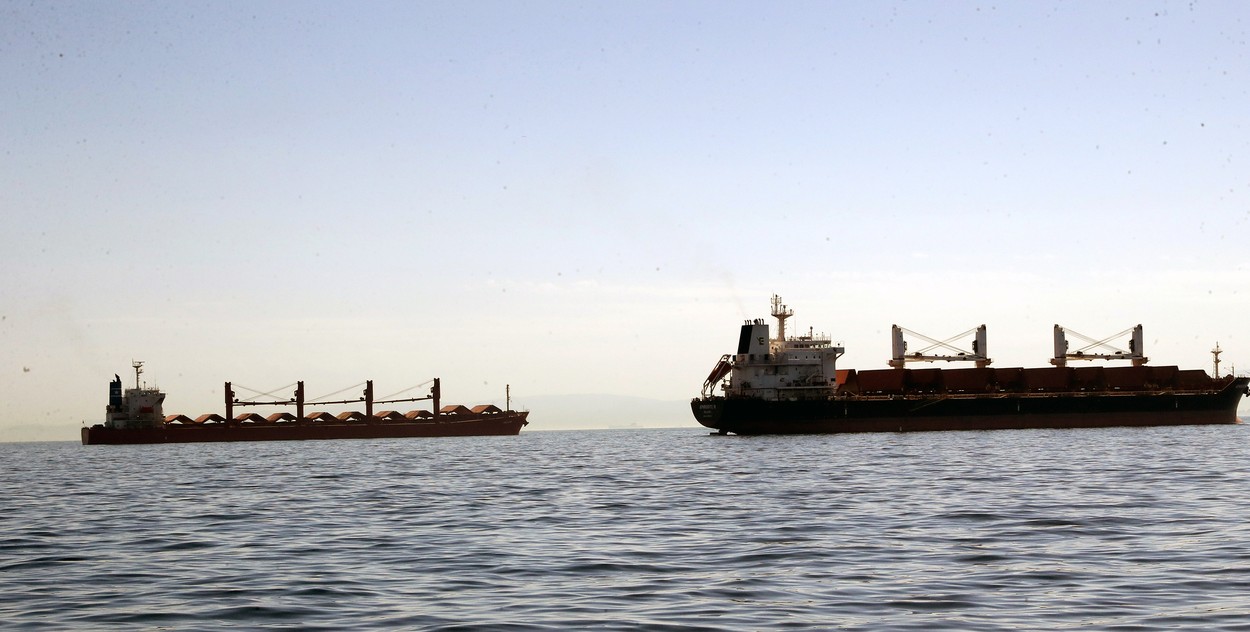 ce-vine-cu-mercosur.-un-cargo-cu-seminte-de-floarea-soarelui-din-argentina,-dat-la-biodiesel-in-bulgaria