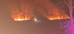 incendiu-de-vegetatie-uscata-in-satul-boureni,-comuna-motca.-pompierii-intervin-de-urgenta
