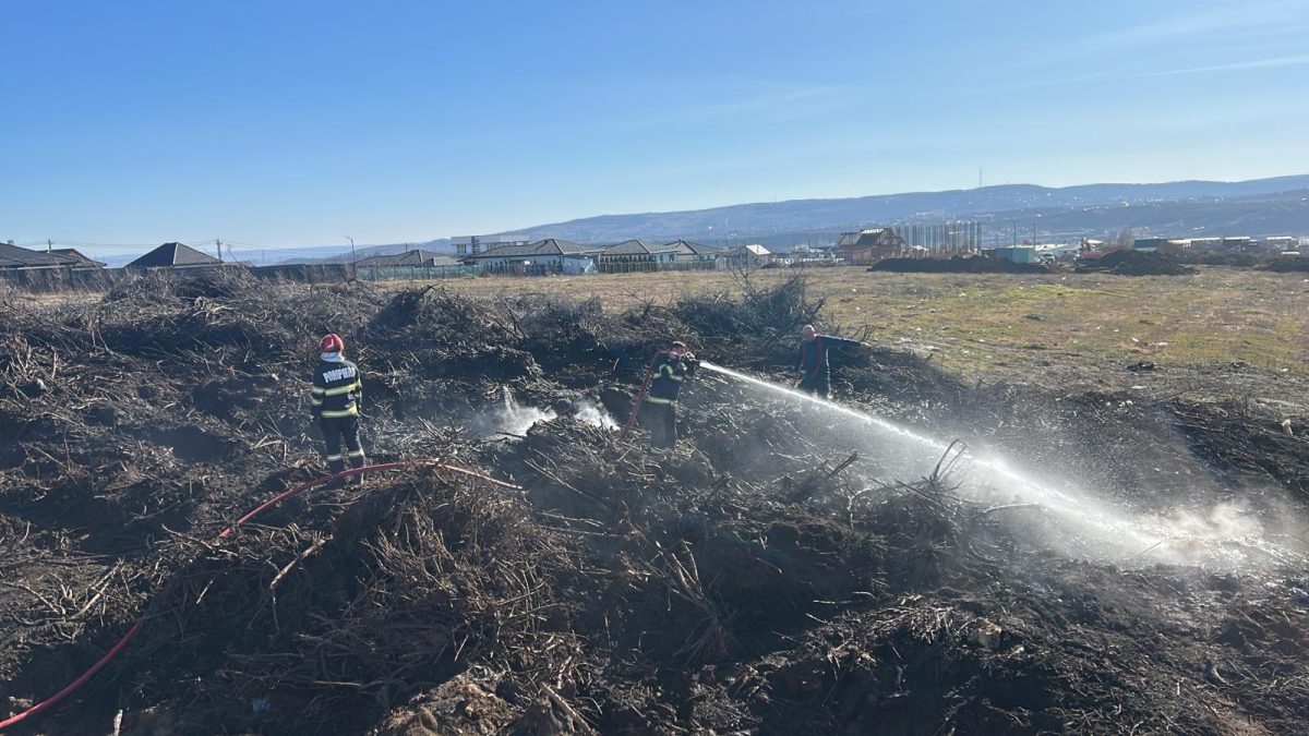 incendiu-de-vegetatie-uscata-in-comuna-miroslava!-pompierii-actioneaza-pentru-limitarea-pagubelor