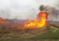 tot-mai-multe-incendii-de-vegetatie-in-judetul-iasi!-pompierii-au,-zilnic,-interventii-de-stingere