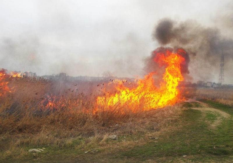 tot-mai-multe-incendii-de-vegetatie-in-judetul-iasi!-pompierii-au,-zilnic,-interventii-de-stingere