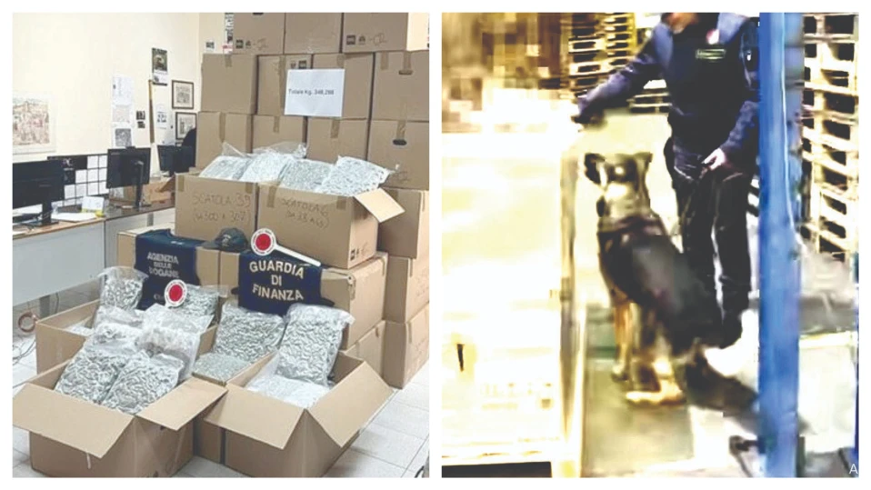 lovitura-de-knock-out-pentru-canalele-internationale-de-trafic-de-droguri-/-bulgar-arestat-in-italia-dupa-ce-a-fost-gasit-cu-marijuana-de-2-milioane-de-euro-in-camion