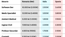 cat-ai-castiga-pentru-job-ul-tau,-daca-te-ai-muta-in-strainatate