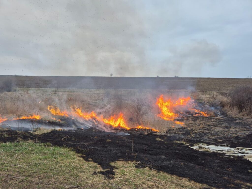 incendiu-de-vegetatie-uscata-la-podu-iloaiei.-pompierii-au-intervenit