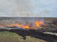 incendiu-de-vegetatie-uscata-la-podu-iloaiei.-pompierii-au-intervenit