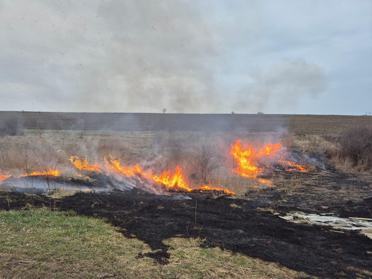 incendiu-de-vegetatie-uscata-la-podu-iloaiei.-pompierii-au-intervenit