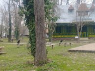 muzeul-satului-trece-la-orarul-de-vara.-ce-program-are-de-paste-si-in-ce-zile-este-inchis