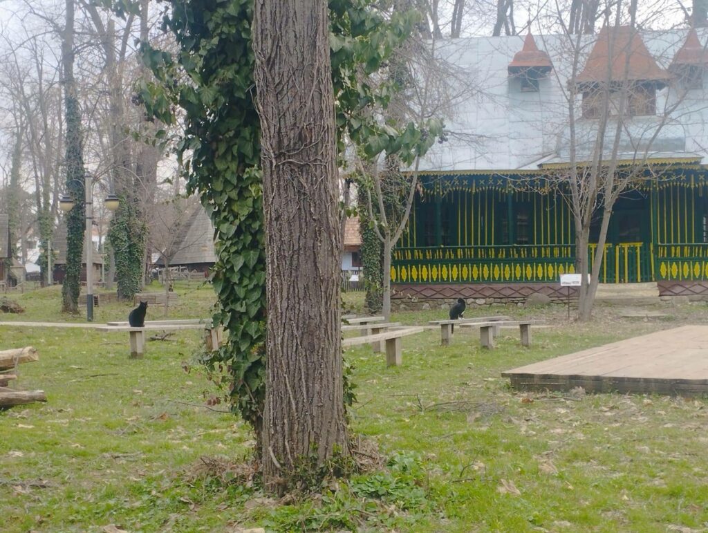 muzeul-satului-trece-la-orarul-de-vara.-ce-program-are-de-paste-si-in-ce-zile-este-inchis