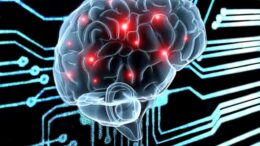 cum-functioneaza-sistemul-de-navigatie-al-creierului-uman.-descoperire-uriasa-in-neurostiinta-facuta-de-un-cercetator-german