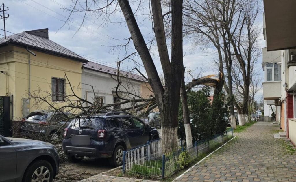 vantul-puternic-face-ravagii-in-iasi:-copaci-doborati-peste-masini-si-locuinte.-pompierii-intervin-in-mai-multe-zone-ale-orasului