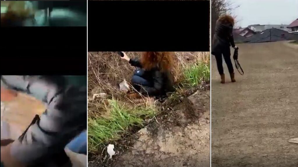 incident-socant-in-iasi:-pasagera-ranita-dupa-ce-a-coborat-din-mers-dintr-o-masina-de-transport-alternativ