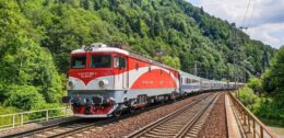 un-copac-cazut-pe-linie-a-blocat-circulatia-feroviara-intre-brasov-si-sighisoara.-ce-trenuri-au-fost-afectate