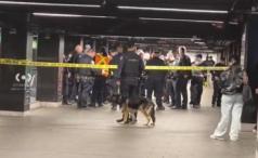 un-american,-lucifer,-a-injunghiat-trei-batrani-cu-o-maceta-in-statia-de-metrou-grand-central-din-new-york.-politia-l-a-executat-pe-peron